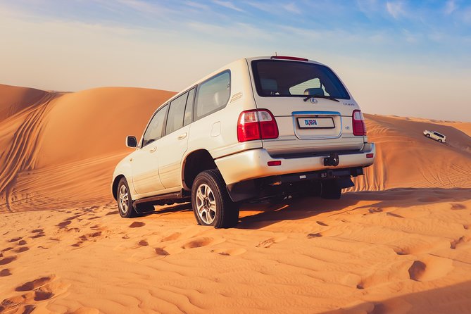 Morning Desert Safari - What To Expect on the Morning Desert Safari