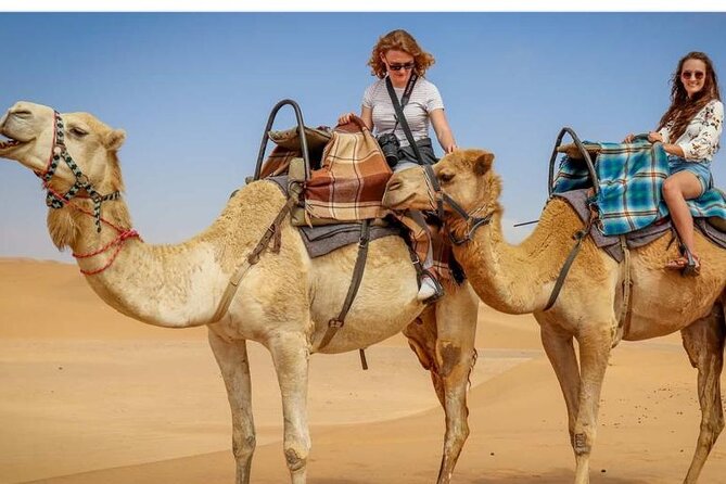 Morning Desert Safari, 25 Minutes ATV With 20 Minutes Camel Ride - Traveler Reviews