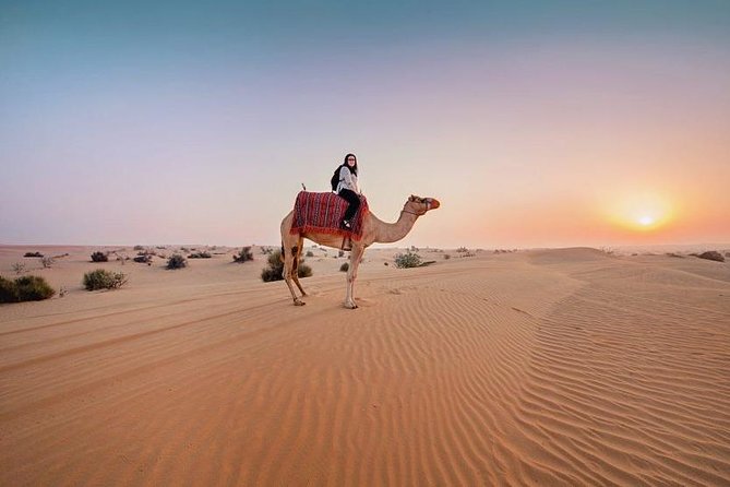 Morning Desert Safari - Timing and Group Size