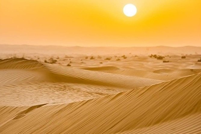 Morning Desert Safari - The Sum Up