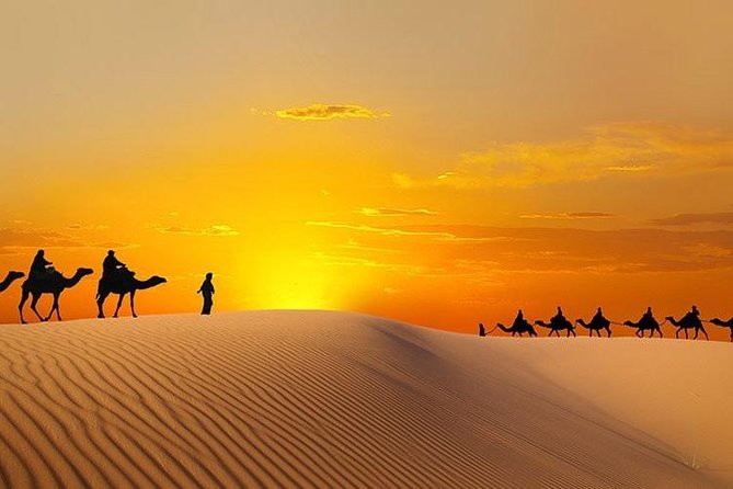 Morning Desert Safari Abu Dhabi With Camel Ride and Sandboarding - Date and Travel Information