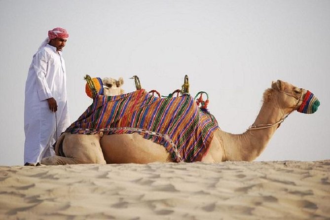 Morning Desert Safari Dubai - Assistance Available for Morning Desert Safari