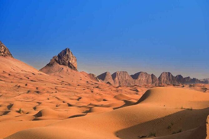 Morning Desert Safari Dubai - Explore the Desert: Fun Camel Ride