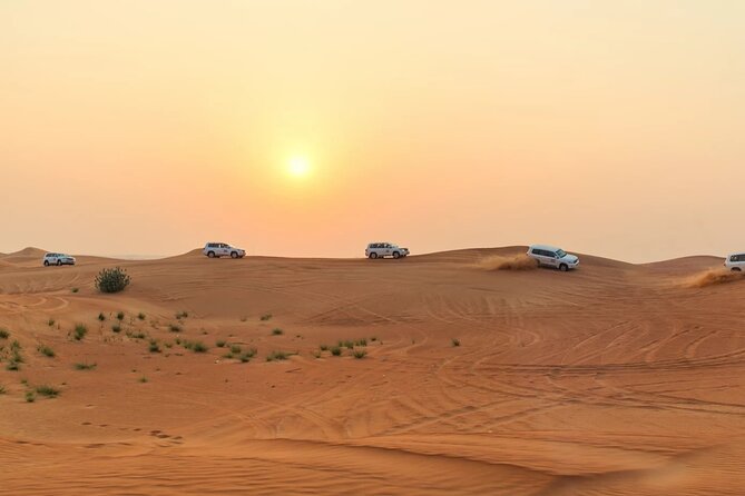 Morning Desert Safari Dubai Private Tour - How to Book the Tour