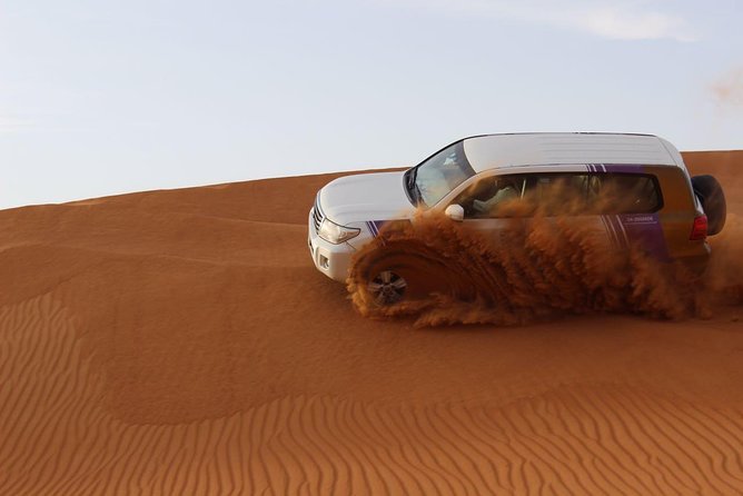 Morning Desert Safari: Dune Bashing & Camel Ride Experience - Reviews