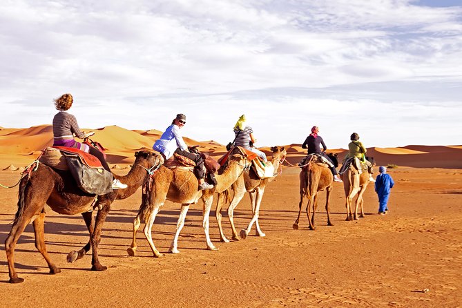 Morning Desert Safari- Dune Bashing- Camel Ride-Sand Boarding & Refreshments - The Thrill of Dune Bashing
