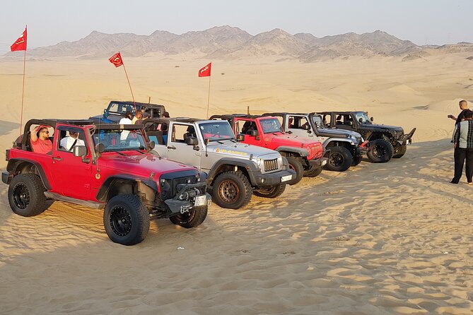 Morning Desert Safari From Makkah - Good To Know