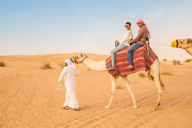 Morning Desert Safari in 4x4 Shared Vehicle - The Sum Up