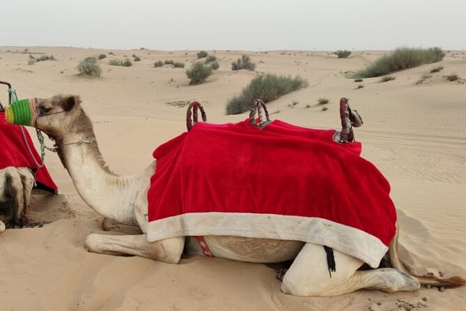 Morning Desert Safari in Dubai Private Vehicle - Private Vehicle Transportation Details