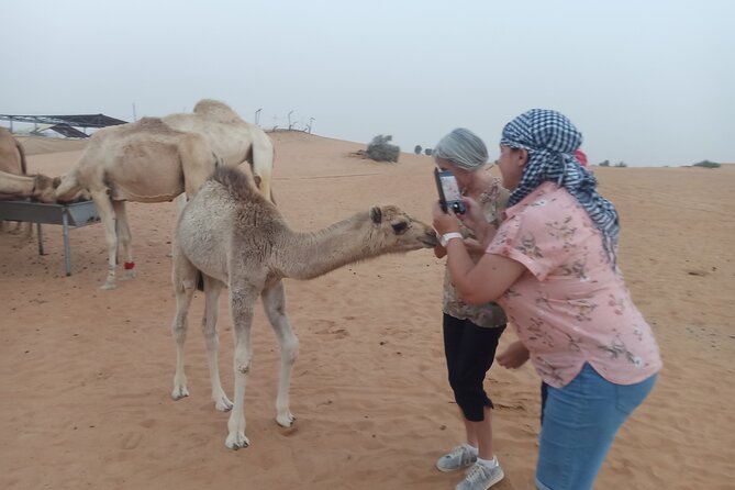 Morning Desert Safari in Nazwa Desert - Selecting Date and Travelers