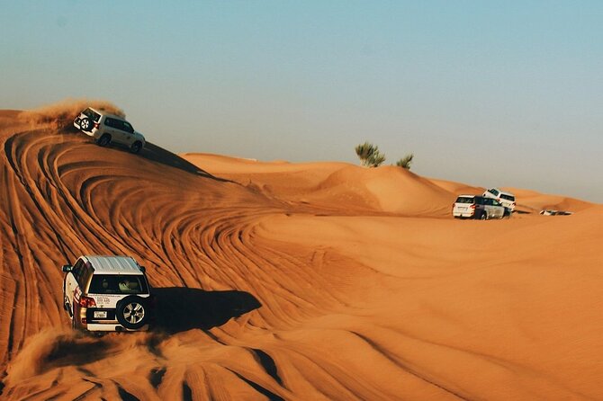 Morning Desert Safari in the Dubai Desert - Safety Precautions and Tips