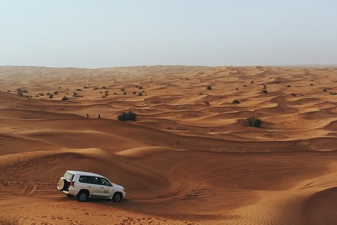 Morning Desert Safari Tour From Jeddah - The Sum Up