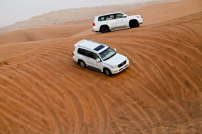 Morning Desert Safari Tour With Dune Bashing At Lahbab Desert. - Pricing and Terms