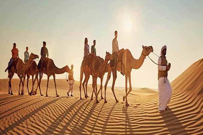 Morning Desert Safari With 1 Hour Camel Trekking & Sandboarding - Check the Cancellation Policy and Reviews