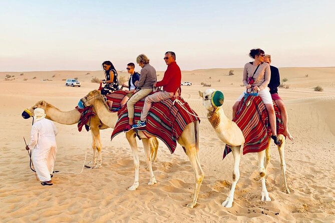 Morning Desert Safari With Camel Ride and Sand Boarding in Red Sand - Reviews