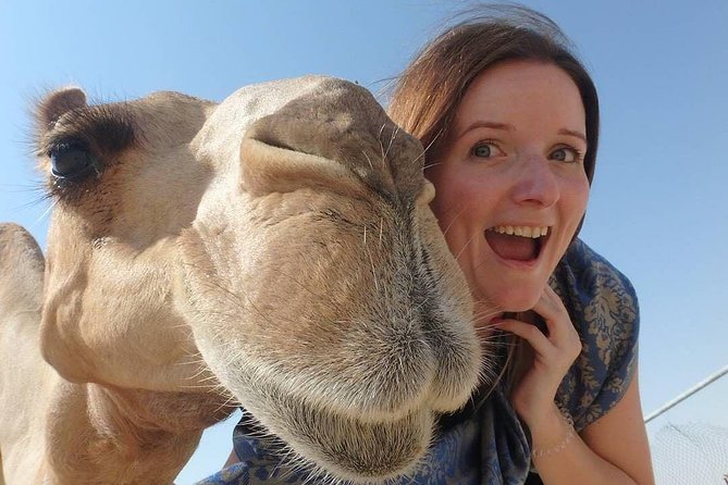 Morning Desert Safari With Camel Ride Sand Boarding - Cancellation Policy