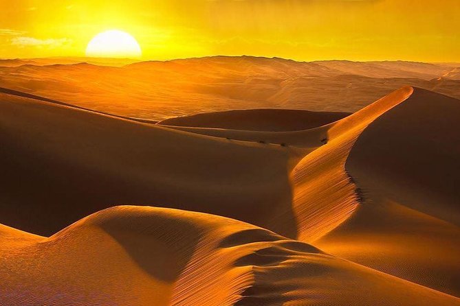 Morning Desert Safari With Camel Ride & Sand Skiing Private Tours - Pricing and Booking Details