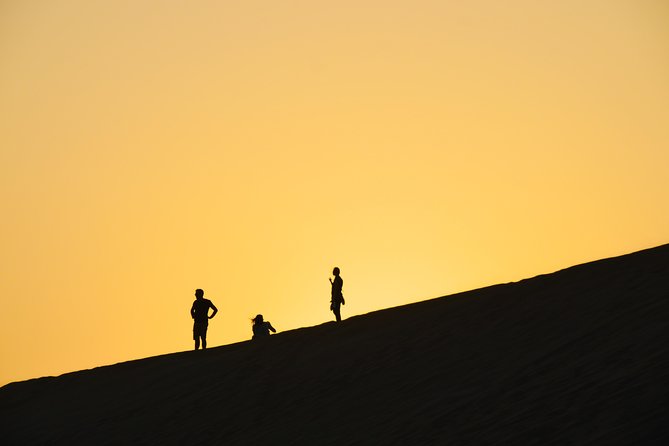 Morning Desert Safari With Camel Ride & Sand Skiing Private Tours - Desert Safari With Camel Ride & Sand Skiing