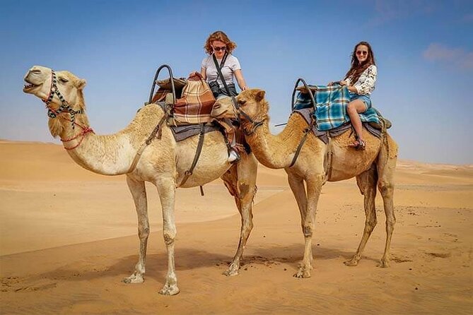 Morning Desert Safari With Camel Riding in Dubai - Pickup and Drop-off Details