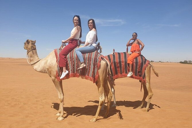 Morning Desert Safari With Dubai City Tour - Included Activities