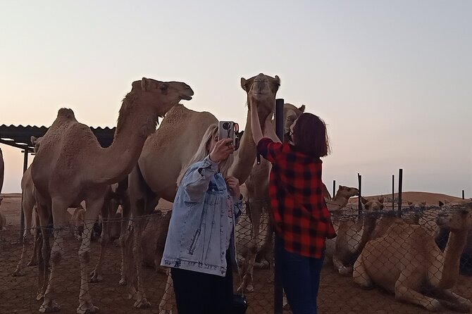 Morning Desert Safari With Dubai Shopping Tour - Morning Adventure in the Desert