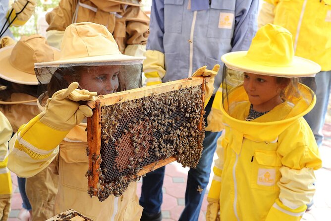 Morning Desert Safari With Honey Bee Garden - Start Time and Accessibility