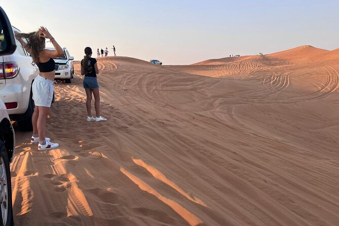 Morning Desert Safari With Long Camel Ride - Desert Wildlife Encounter