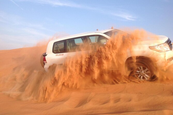 Morning Desert Safari With Long Camel Ride - Professional Guides and Safety Measures