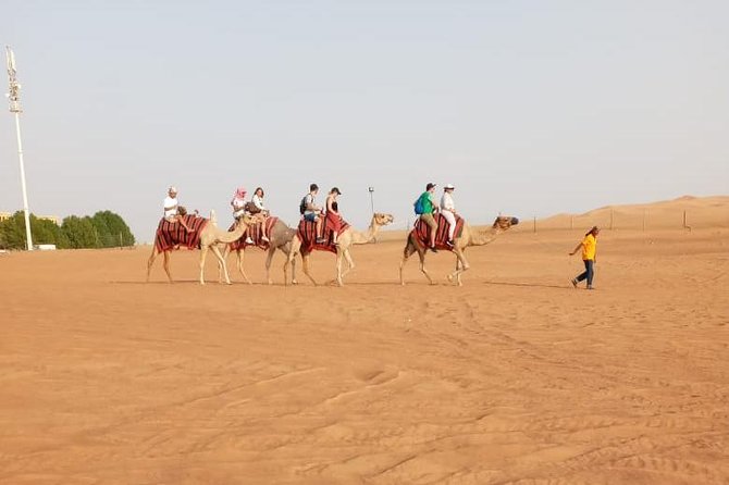 Morning Desert Safari With Quad Biking, Camel Riding and Dune Bashing - Thrilling Dune Bashing