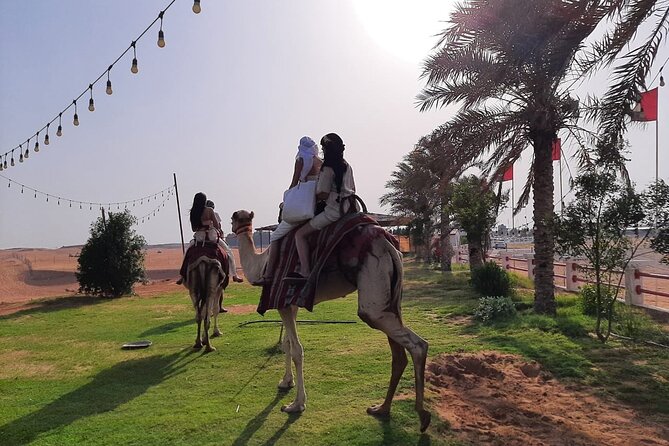 Morning Desert Safari With Sandboard and Camel Ride - The Sum Up