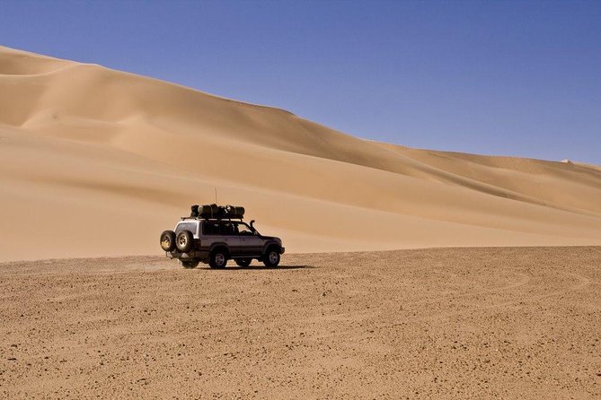 Morning Dubai Desert Safari With Dune Bashing & Sandboarding & Camel Riding - Flexible Cancellation Policy