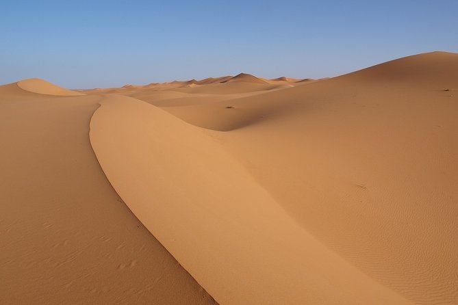 Morning Dubai Desert Safari With Quad Biking and Dune Bashing and Sandboarding - Common Questions