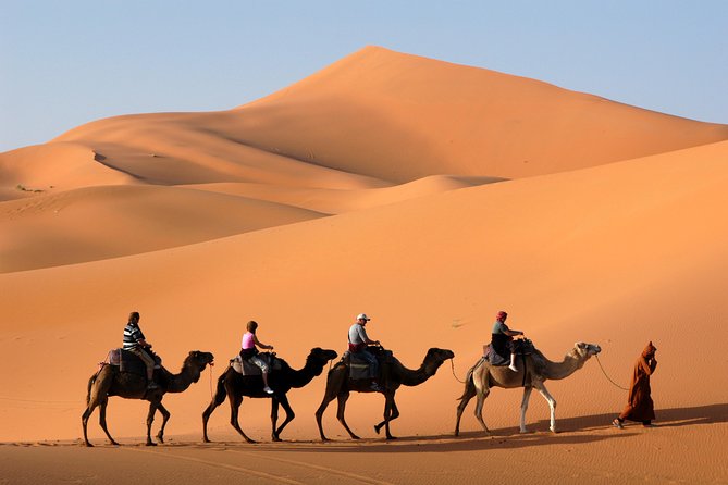 Morning Dubai Quad Bike With Sand Boarding and Camel Ride - Pricing and Booking
