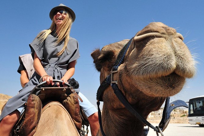 Morning Dubai Quad Bike With Sand Boarding and Camel Ride - Common Questions