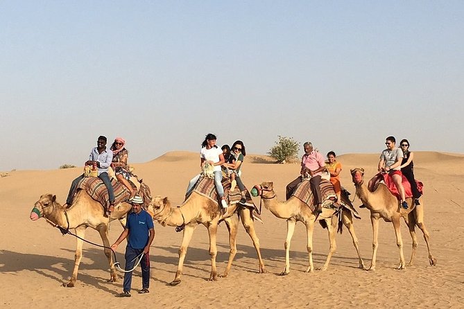 Morning Dune Bashing, Including Camel Riding and Sand Boarding From Dubai - What to Expect