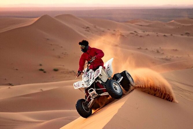 Morning Dune Drive With Sandboarding and Camel Ride - Booking Information