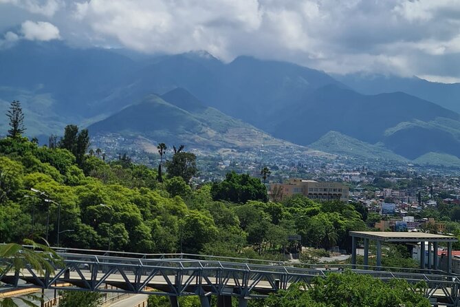 Morning Enduro MTB Bike Ride to Cerro Del Fortín (2hrs) - Bike Rental and Gear