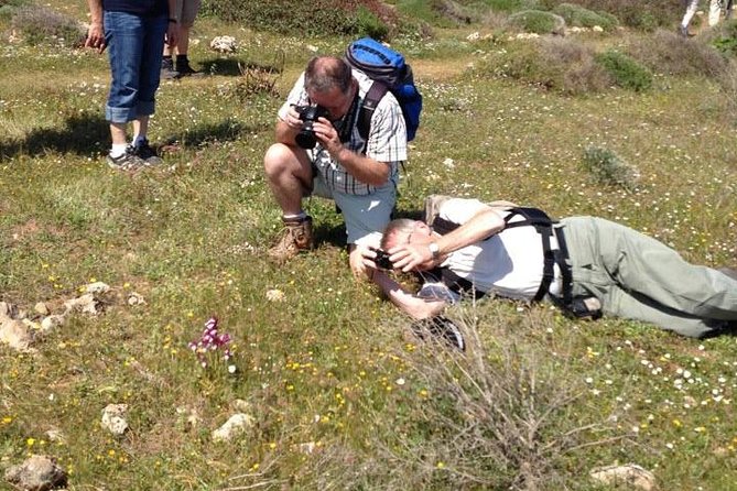 Morning Excursions Etna / Etna Morgen Tour - Customer Experience Insights