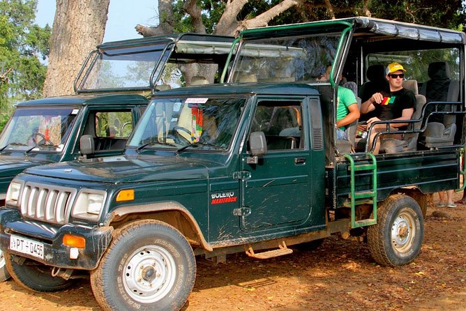 Morning Game Drive in Yala National Park - Safari Jeep Experience