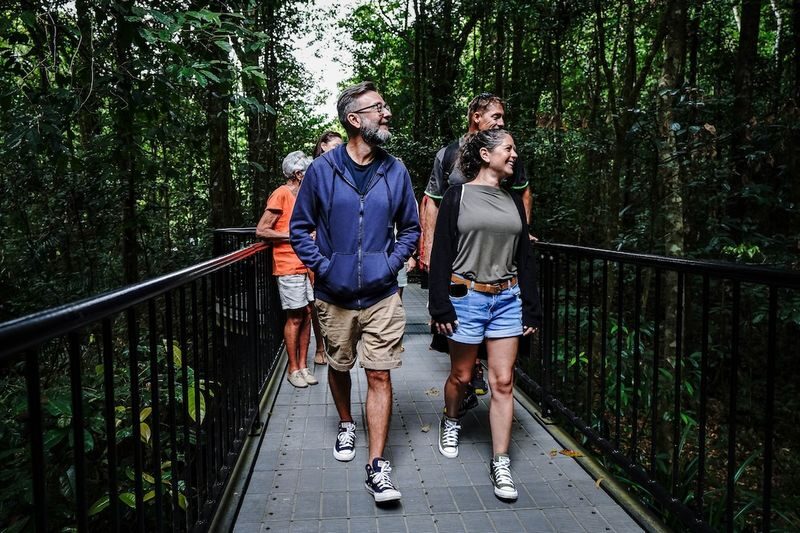 Morning Half-Day Daintree Rainforest Tour - The morning in a few key details