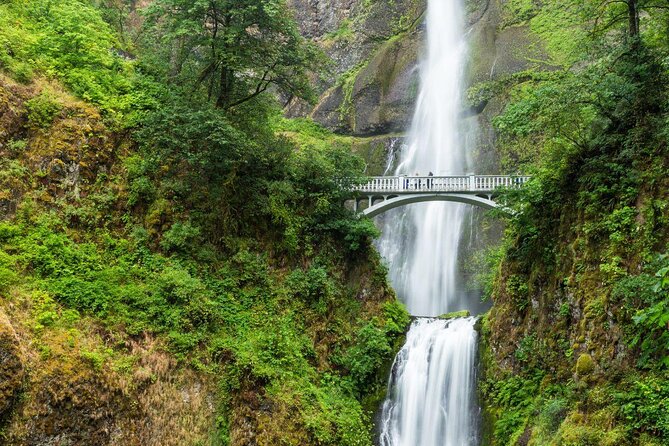 Morning Half-Day Multnomah Falls and Columbia River Gorge Waterfalls Tour From Portland - Tour Overview