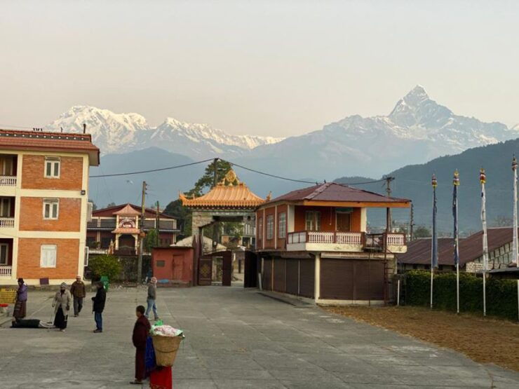 Morning Half Day Tibetan Cultural Tour - Highlights