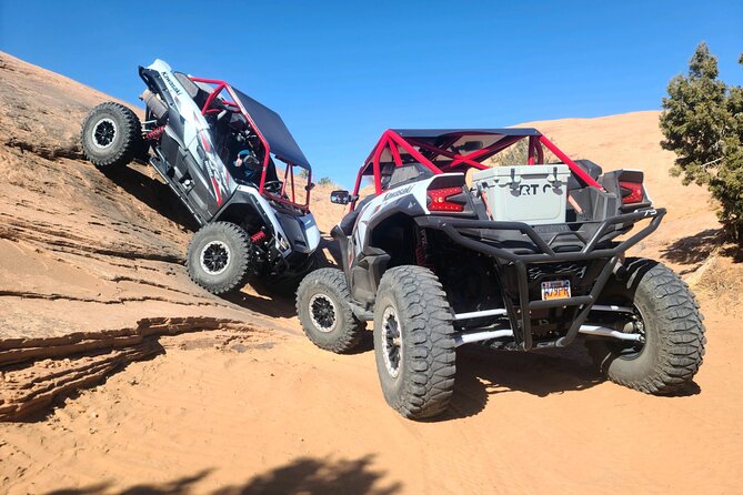 Morning Hell's Revenge You-Drive UTV Tour - Customer Reviews, Hosts Response, and Pricing Information