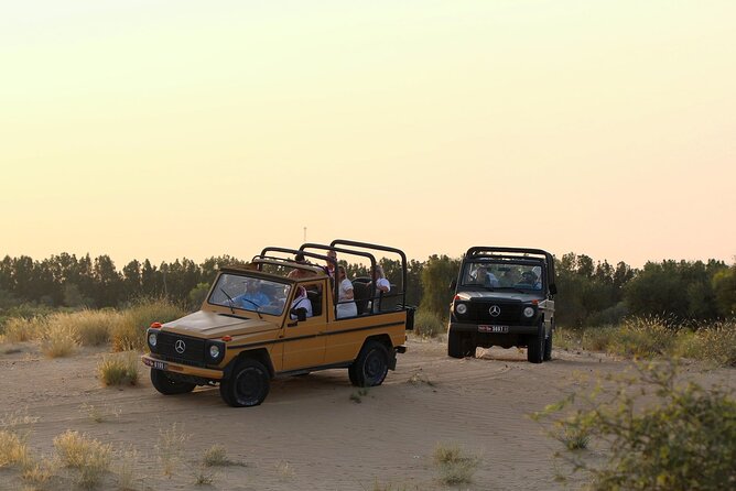 Morning Heritage Safari With A Vintage G Class Mercedes - Good To Know