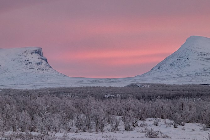 Morning Hike in Abisko National Park - Small Group Size for Personalized Attention