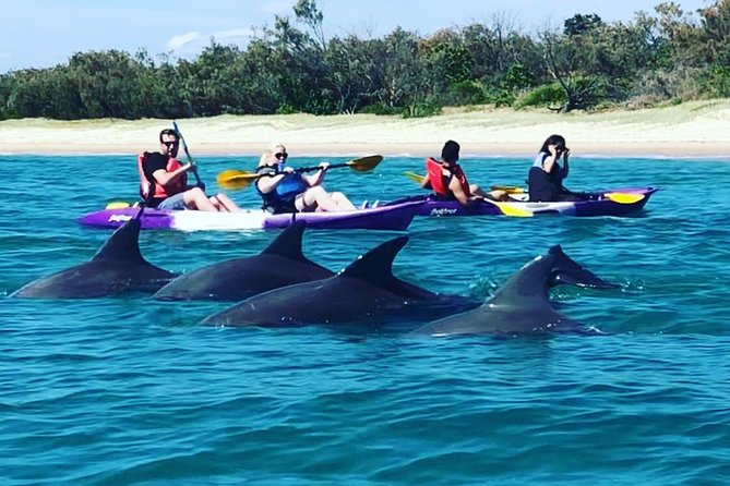 Morning Kayaking and Snorkeling Tour - Tour Highlights and Activities