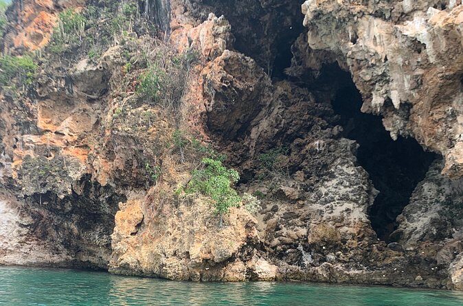 Morning Kayaking Tour to Little Bay - The Sum Up