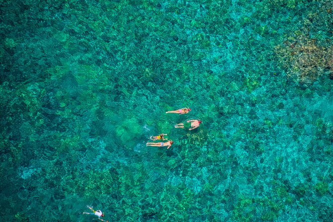 Morning Kealakekua Snorkel Tour - The Sum Up