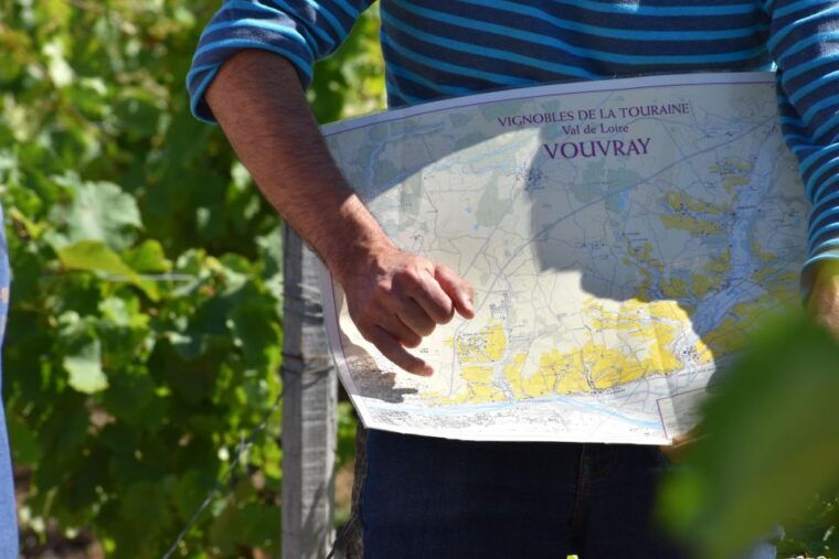 Morning - Loire Valley Wine Tour & Food Pairing, Vouvray - Experience Highlights