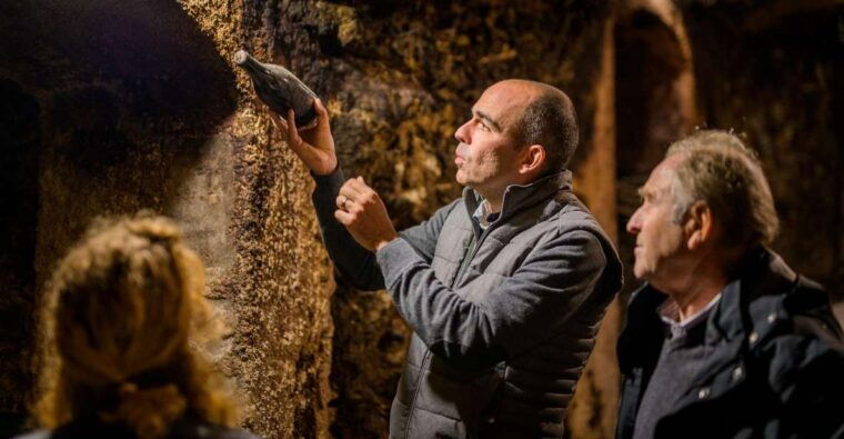Morning - Loire Valley Wine Tour & Food Pairing, Vouvray - Inclusions of the Tour